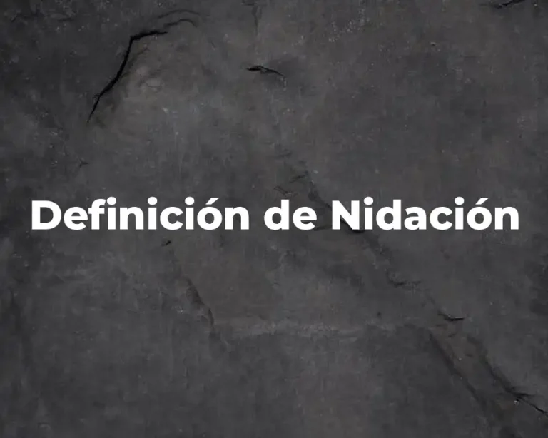 Definición de Nidación