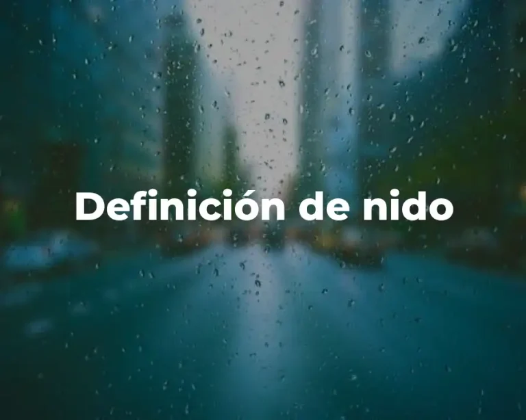 Definición de nido