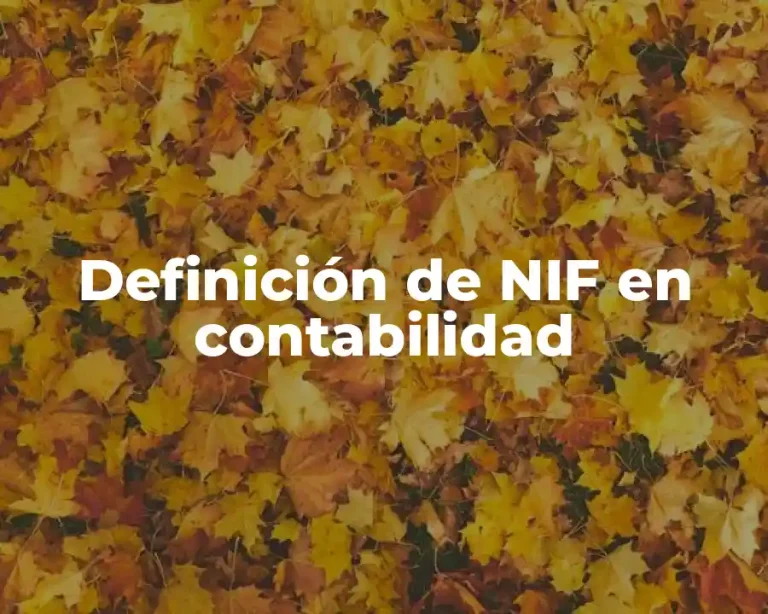 Definición de NIF en contabilidad