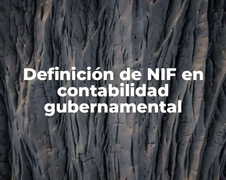 Definición de NIF en contabilidad gubernamental