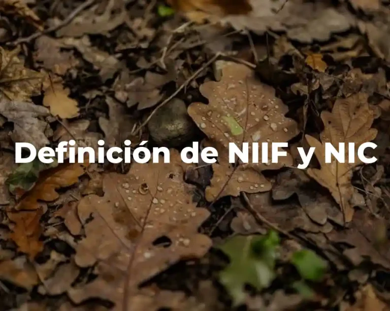 Definición de NIIF y NIC