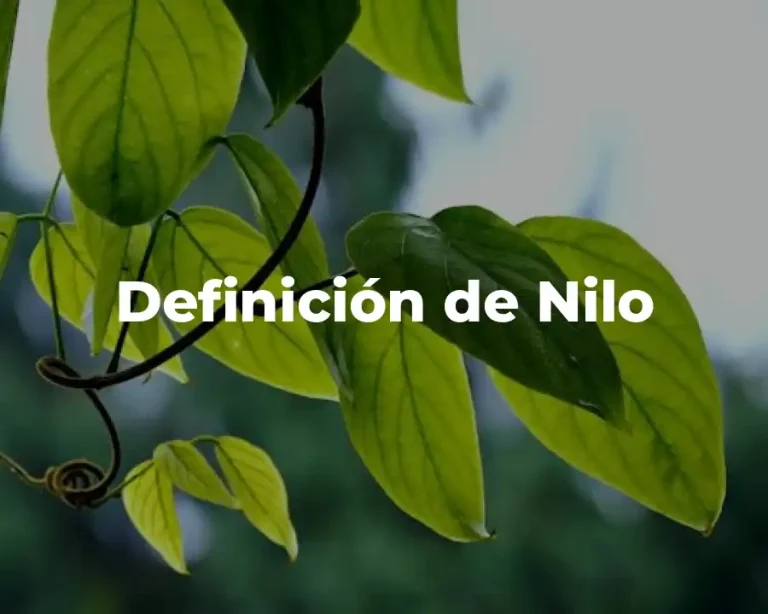 Definición de Nilo