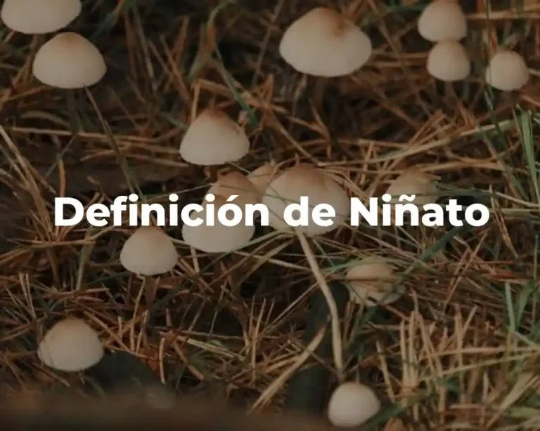 Definición de Niñato