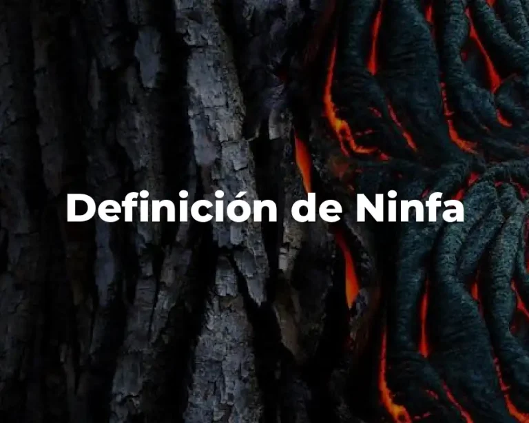 Definición de Ninfa