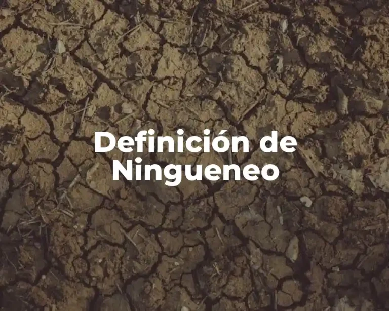 Definición de Ningueneo