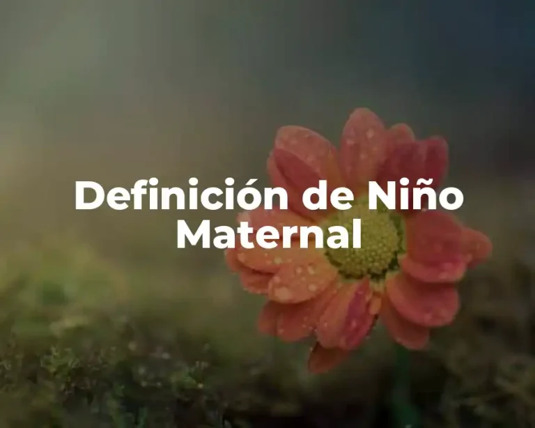 Definición de Niño Maternal