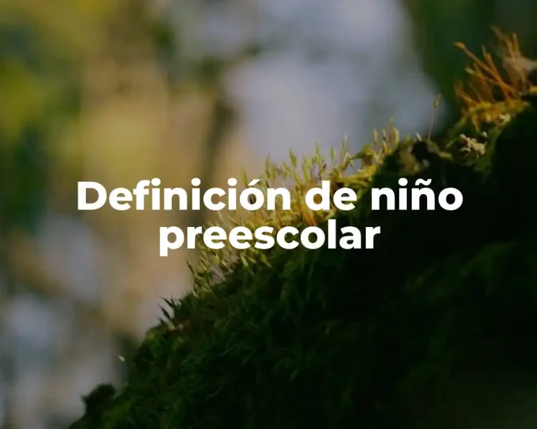 Definición de niño preescolar
