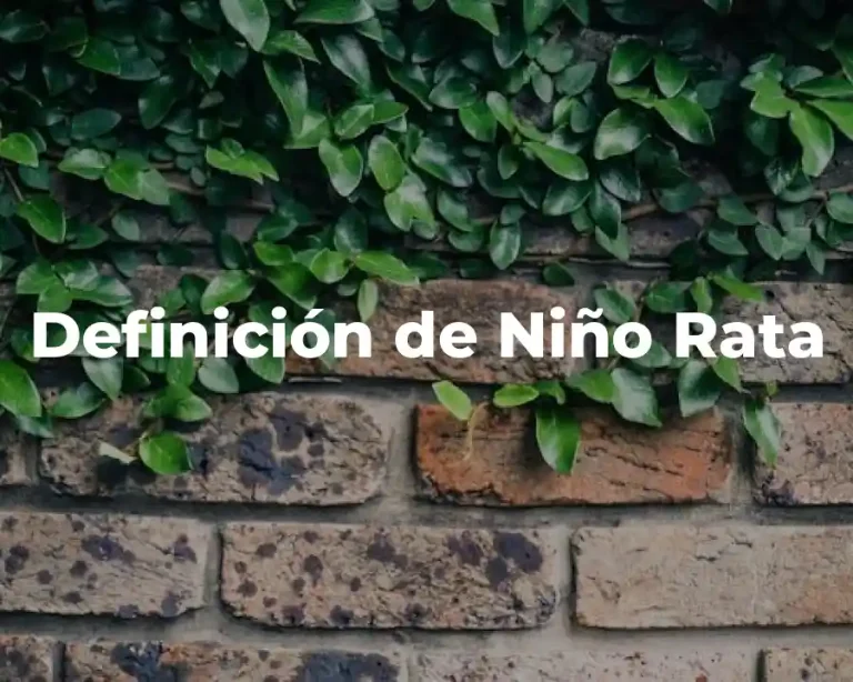 Definición de Niño Rata