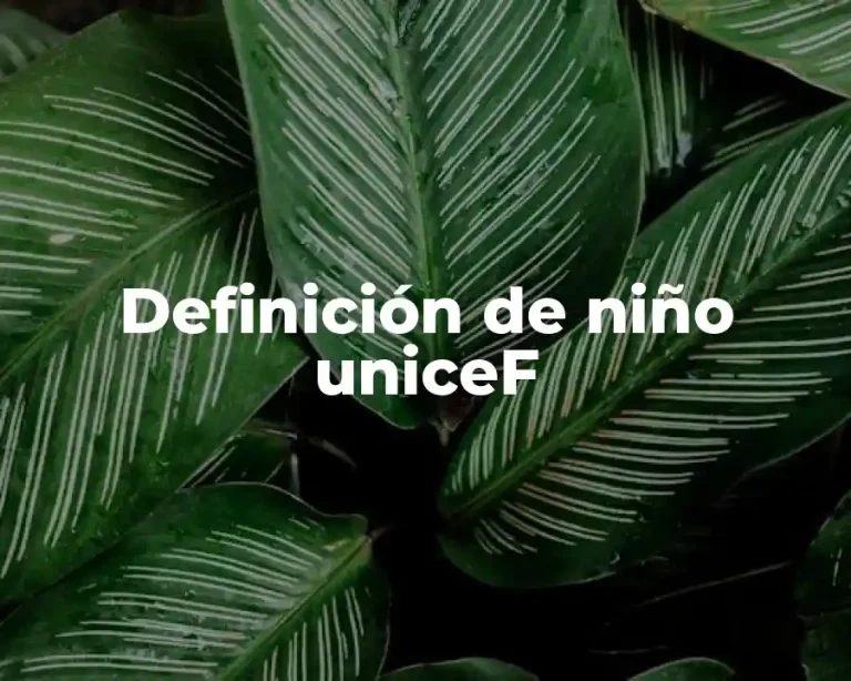 Definición de niño uniceF