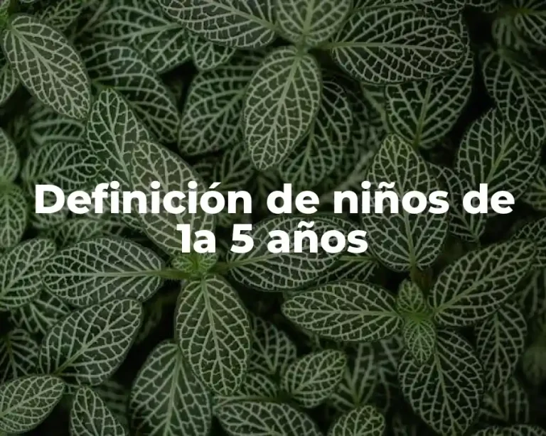 Definición de niños de 1a 5 años