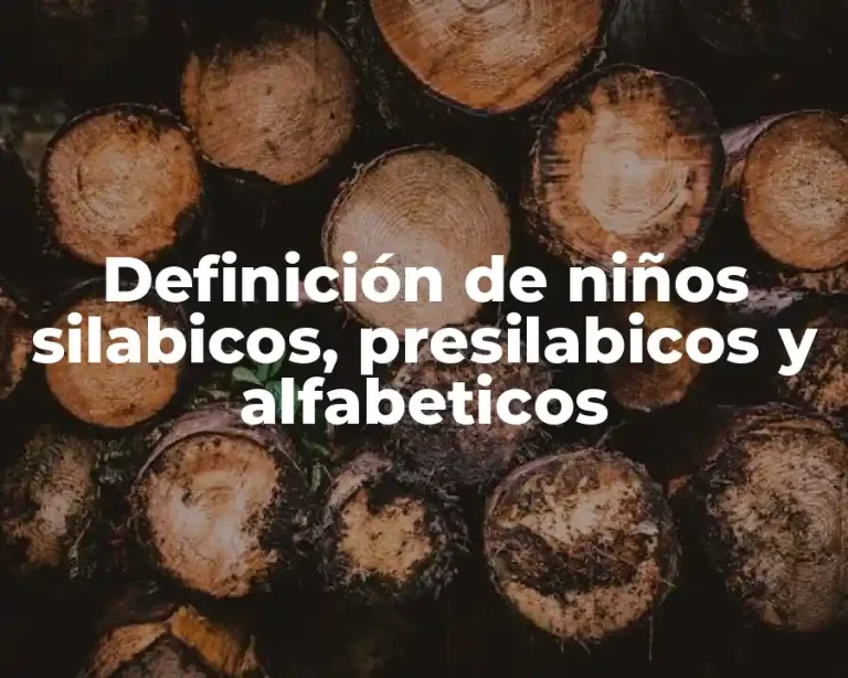 Definición de niños silabicos, presilabicos y alfabeticos