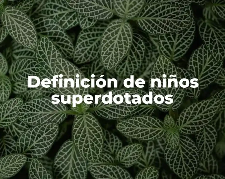 Definición de niños superdotados
