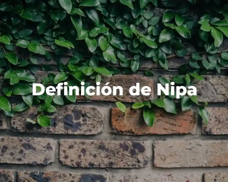 Definición de Nipa