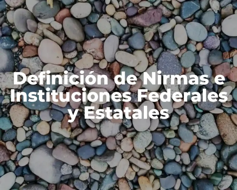 Definición de Nirmas e Instituciones Federales y Estatales
