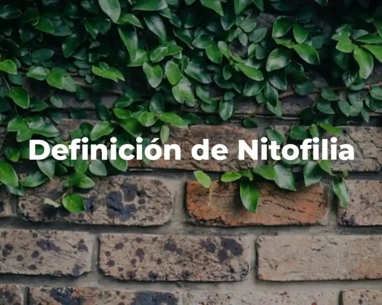 Definición de Nitofilia