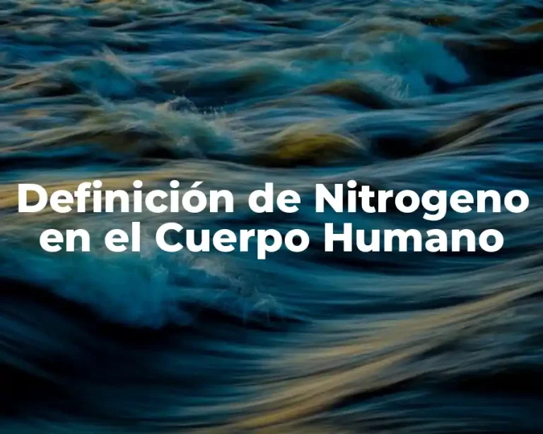 Definición de Nitrogeno en el Cuerpo Humano