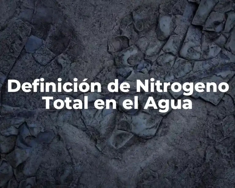Definición de Nitrogeno Total en el Agua