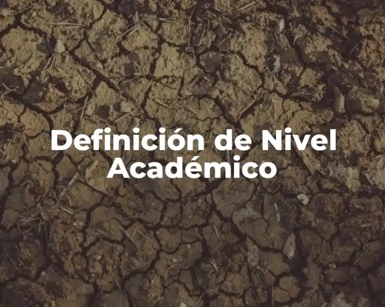 Definición de Nivel Académico
