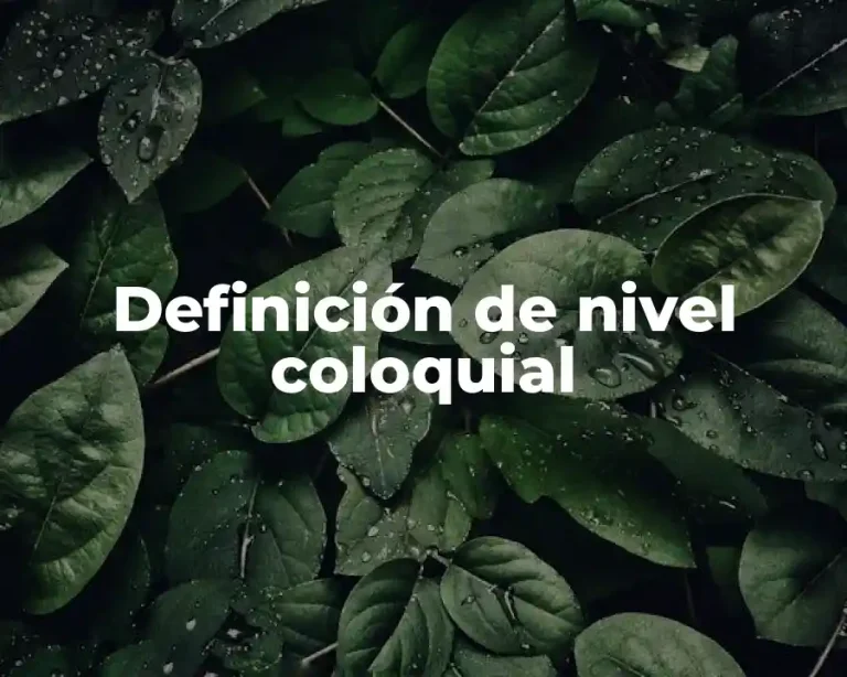 Definición de nivel coloquial