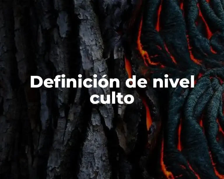 Definición de nivel culto