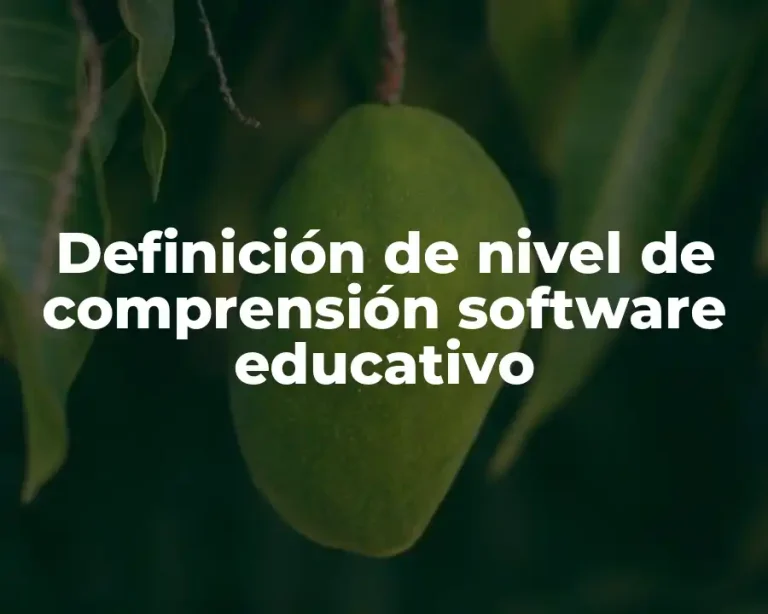 Definición de nivel de comprensión software educativo