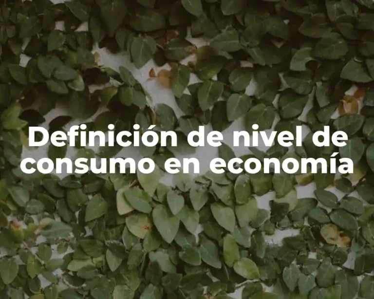 Definición de nivel de consumo en economía