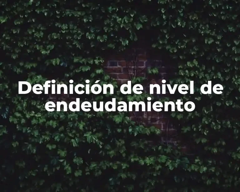 Definición de nivel de endeudamiento