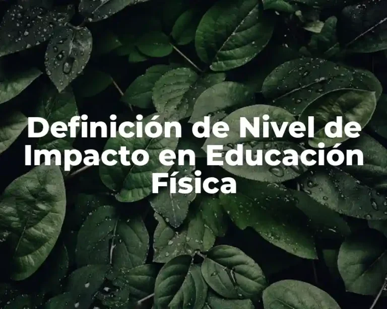 Definición de Nivel de Impacto en Educación Física