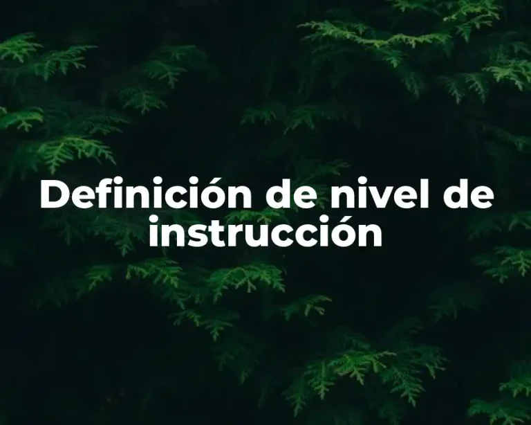 Definición de nivel de instrucción
