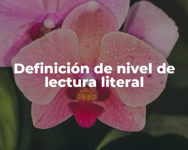 Definición de nivel de lectura literal