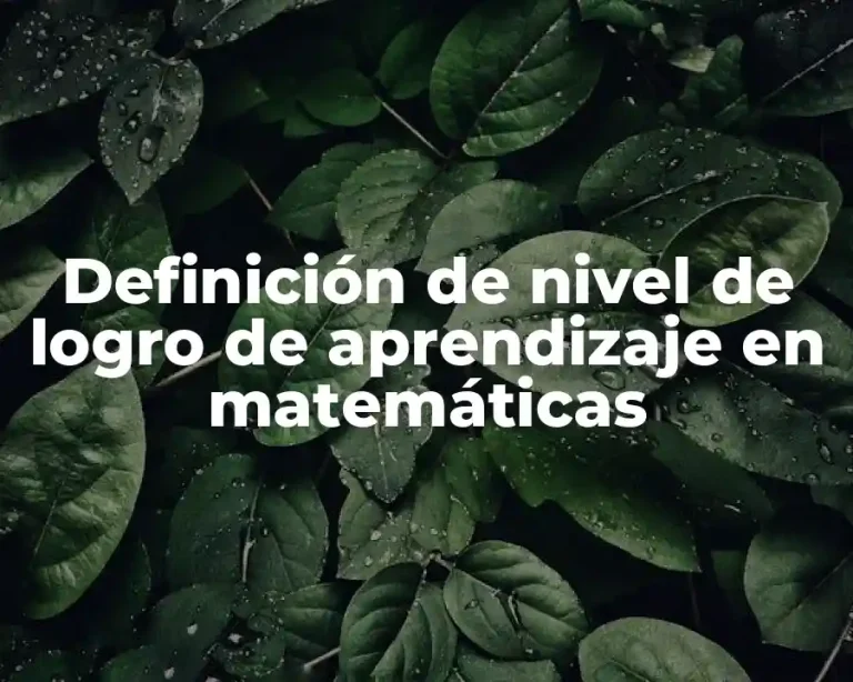 Definición de nivel de logro de aprendizaje en matemáticas