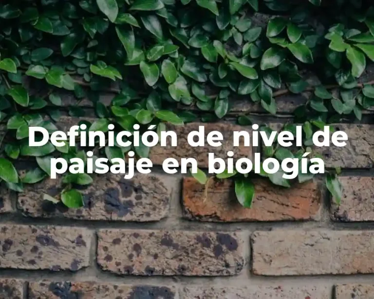 Definición de nivel de paisaje en biología