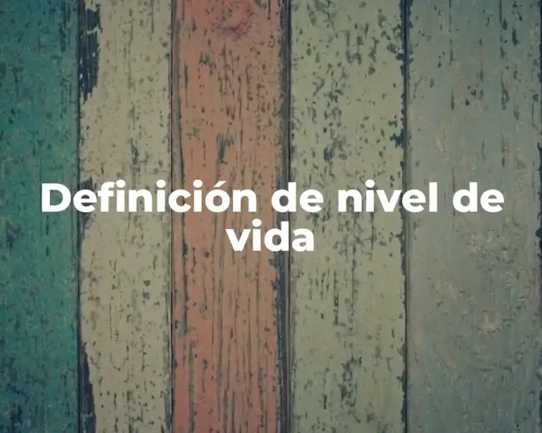 Definición de nivel de vida