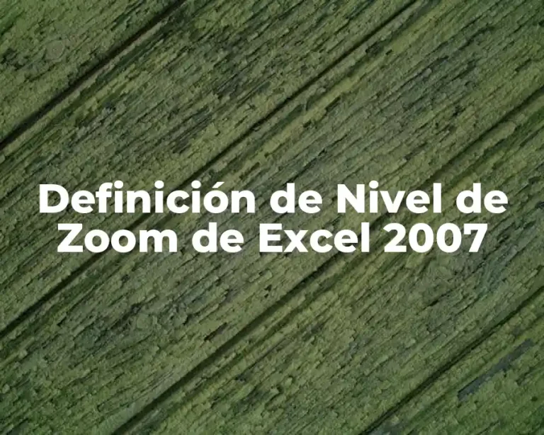 Definición de Nivel de Zoom de Excel 2007