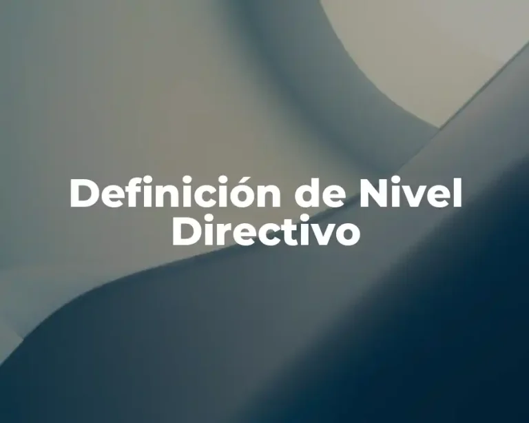 Definición de Nivel Directivo