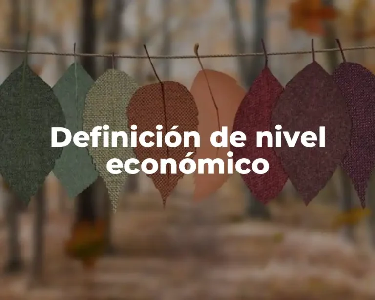 Definición de nivel económico