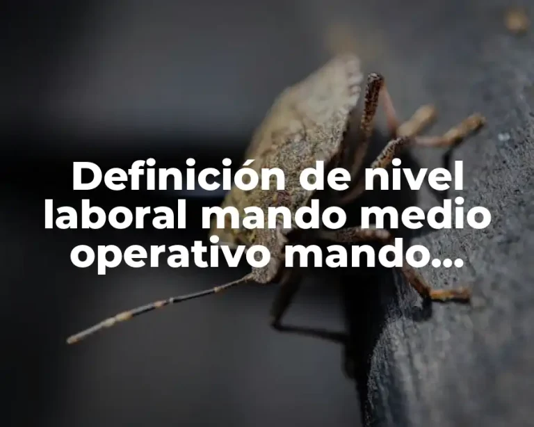 Definición de nivel laboral mando medio operativo mando superior
