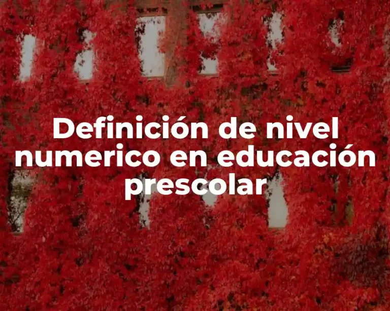 Definición de nivel numerico en educación prescolar