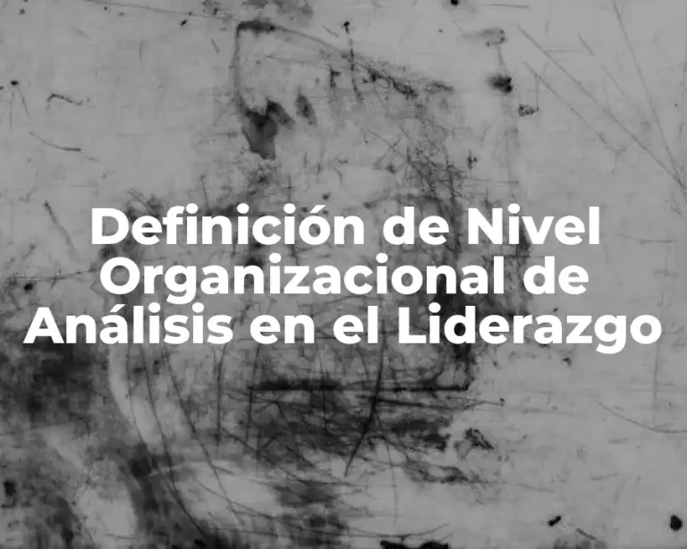 Definición de Nivel Organizacional de Análisis en el Liderazgo