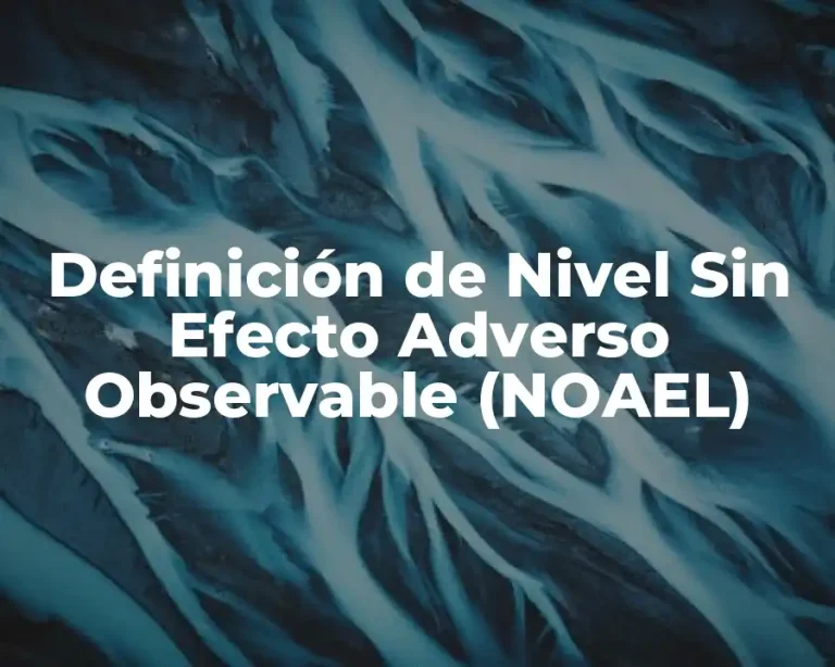 Definición de Nivel Sin Efecto Adverso Observable (NOAEL)