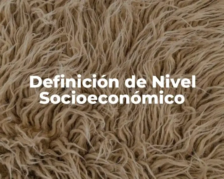 Definición de Nivel Socioeconómico