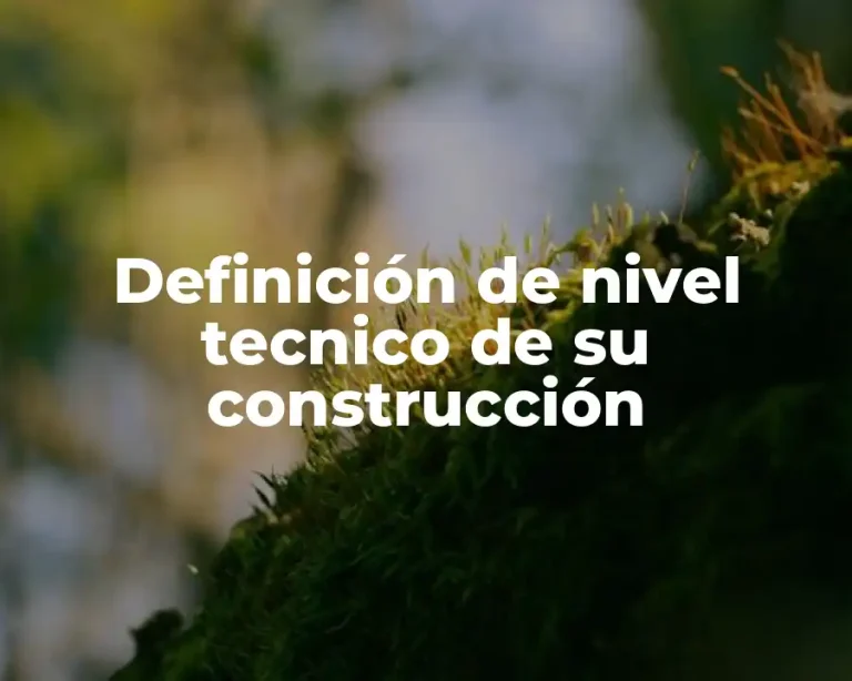 Definición de nivel tecnico de su construcción