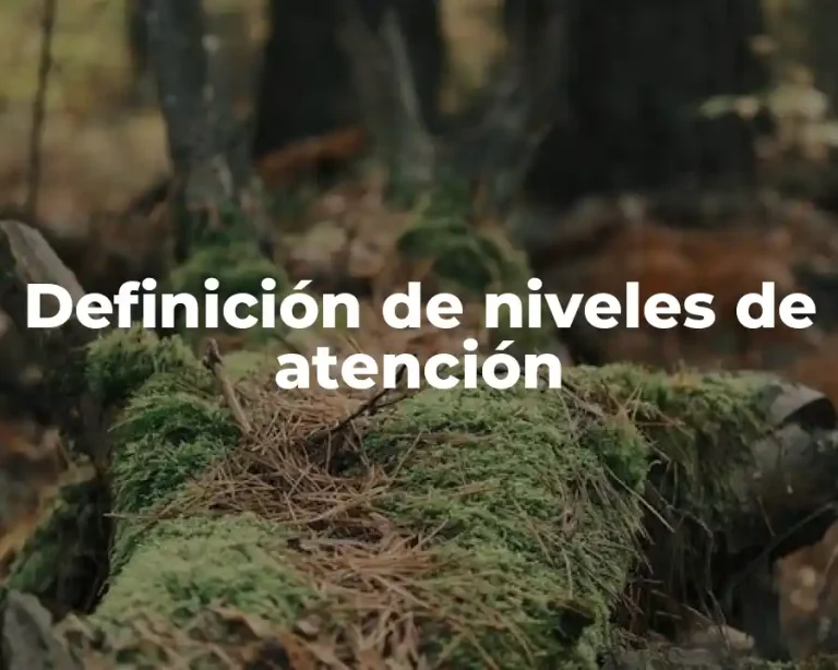 Definición de niveles de atención