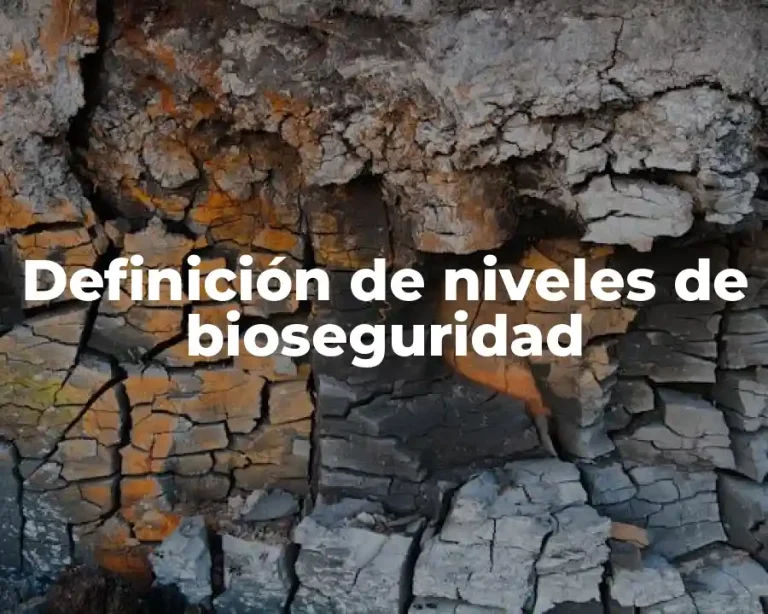 Definición de niveles de bioseguridad