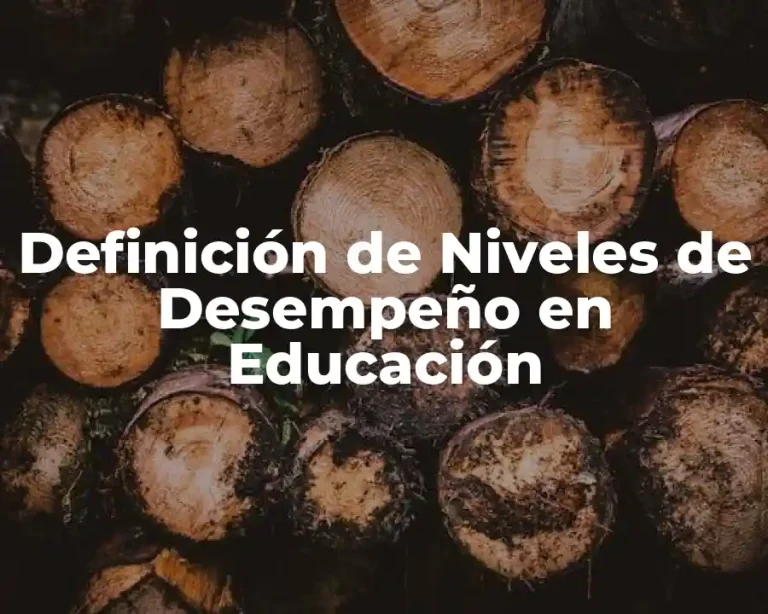 Definición de Niveles de Desempeño en Educación