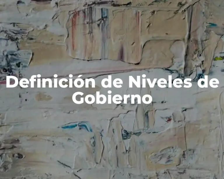 Definición de Niveles de Gobierno