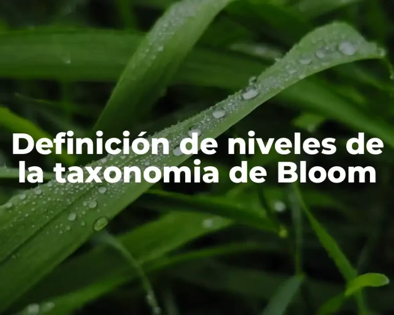 Definición de niveles de la taxonomia de Bloom