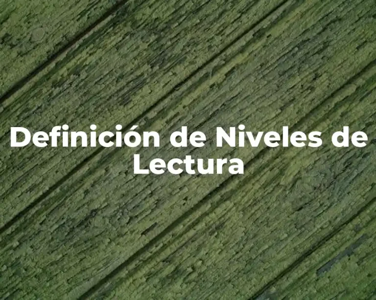 Definición de Niveles de Lectura