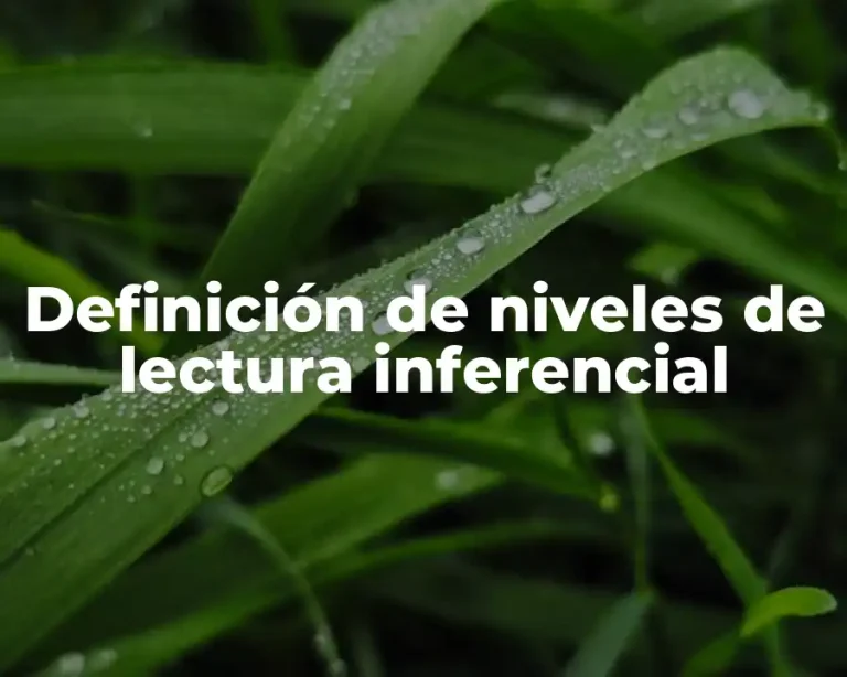 Definición de niveles de lectura inferencial