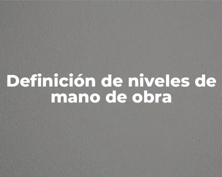 Definición de niveles de mano de obra